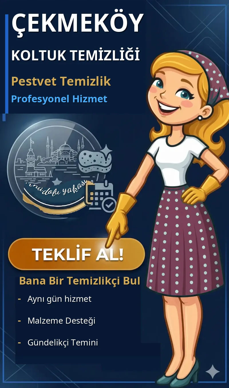 Çekmeköy Koltuk Temizliği - Pestvet Temizlik